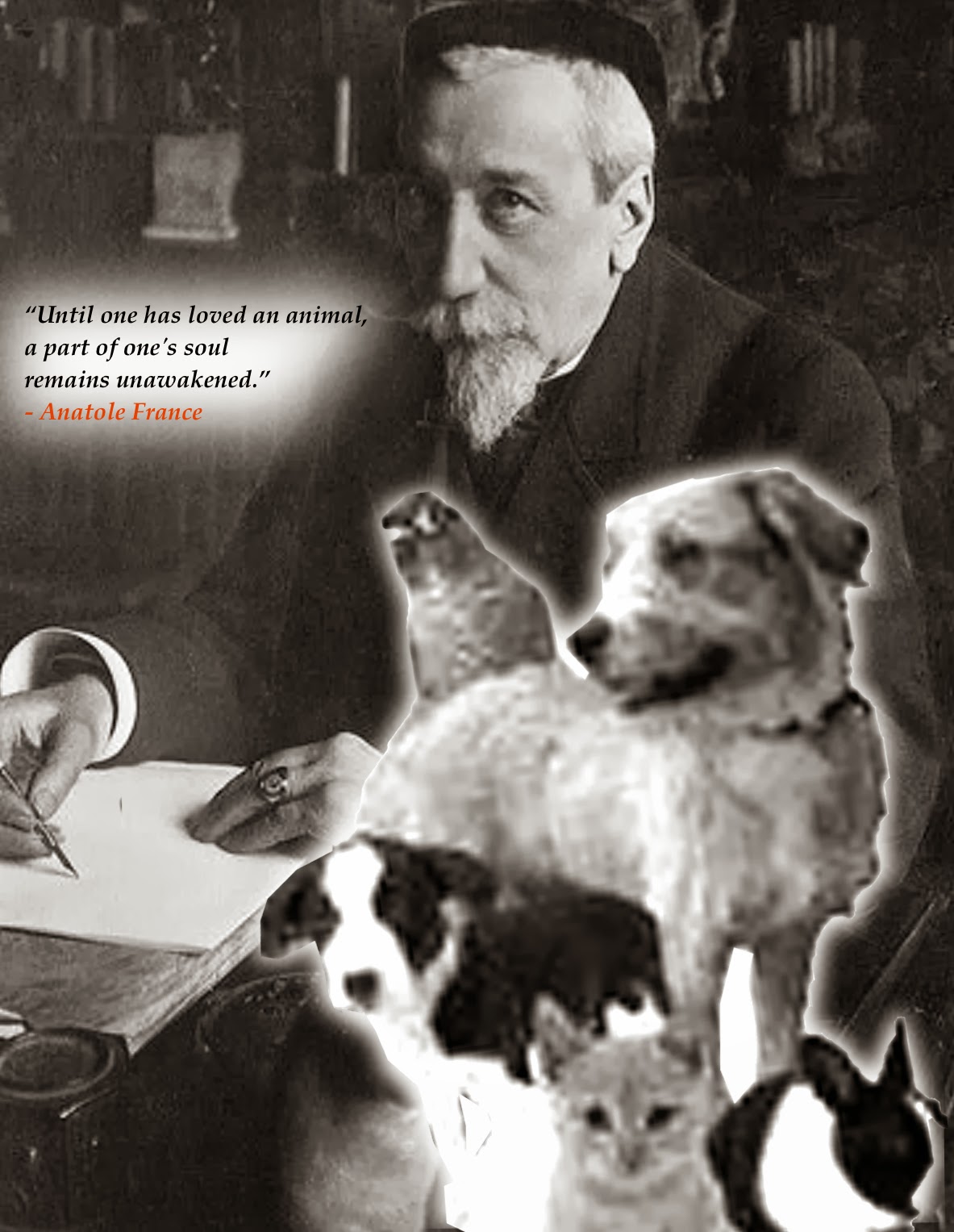 Today s Quote on Animals “Until one has loved an animal a part of one s soul remains unawakened ” –Anatole France